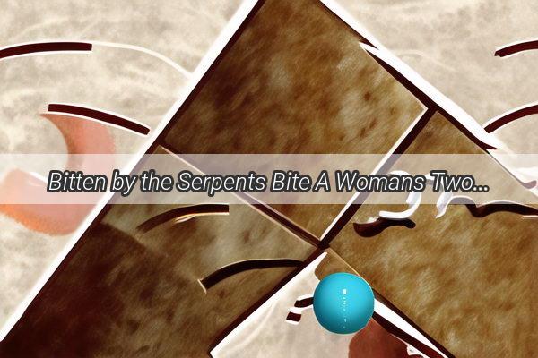 Bitten by the Serpents Bite A Womans TwoNight Journey into the Enigmatic World of Dreams